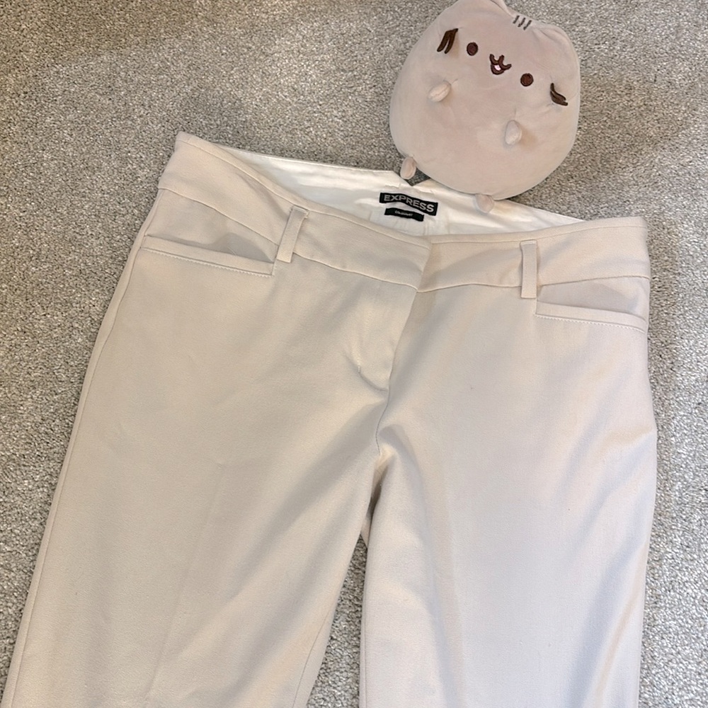 Excellent Pants